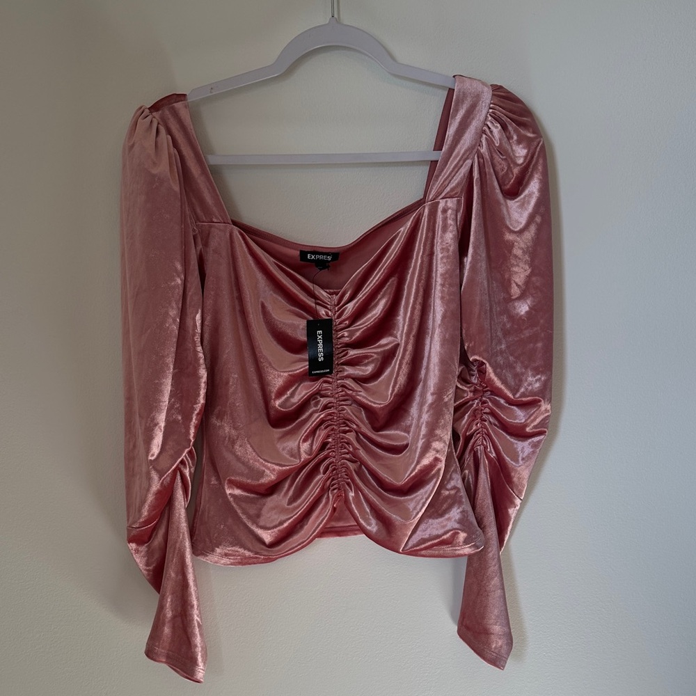 Express Pink Velvet Ruched Blouse